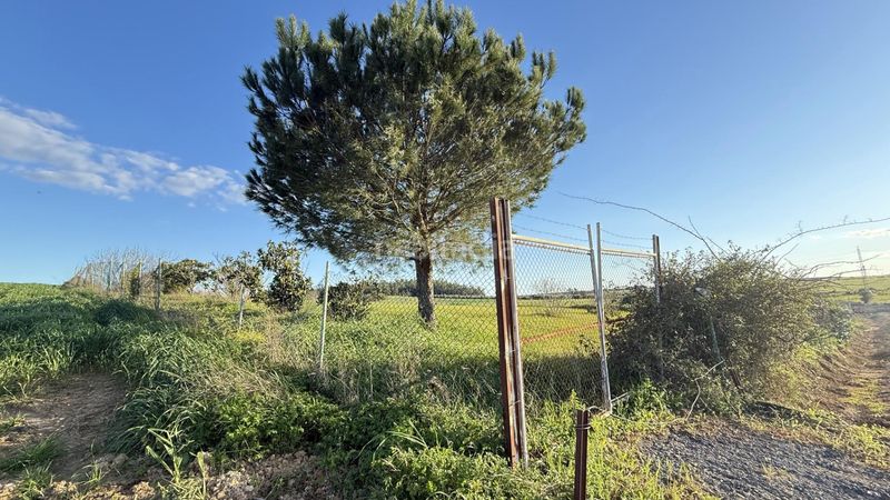 Foto ea3d2344-ac9e-4511-8866-796465b0a1ed. Finca rústica a Gibraleón