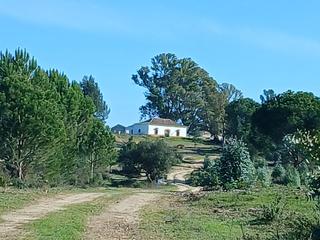 Mas à Moguer. Finca de 47 hectáreas junto al parque de doñana huelva