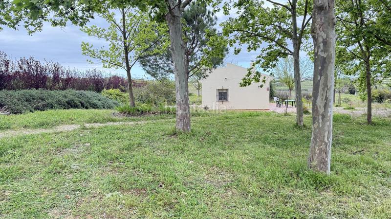 Foto 2f597c95-ebfd-4d32-8680-05f7558171c3. Masía finca rústica en venta huelva en Moguer