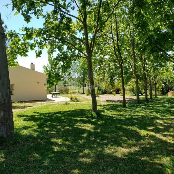 Foto 3314c2e5-1444-4b2b-a52d-99151e9a441e. Masía finca rústica en venta huelva en Moguer
