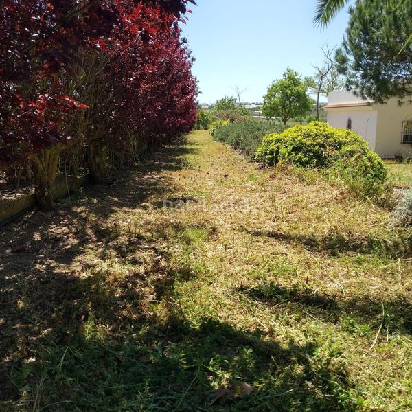 Foto 3a65148b-73c8-468c-a13c-bc9d2a2975e0. Masía finca rústica en venta huelva en Moguer