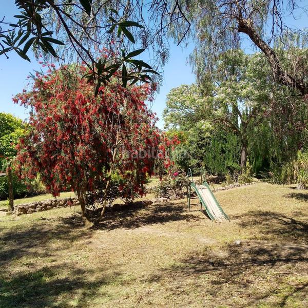 Foto 3d64dced-9326-4d1a-a9c4-4b0b1eda5644. Masía finca rústica en venta huelva en Moguer