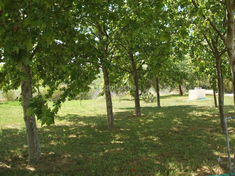 Foto 72139d8f-e985-4a9e-95d5-69adebf3fa71. Masía finca rústica en venta huelva en Moguer