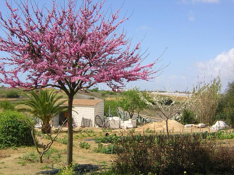 Foto 733b3ea0-d6c4-4561-b576-4e71ffdc1bdd. Masía finca rústica en venta huelva en Moguer