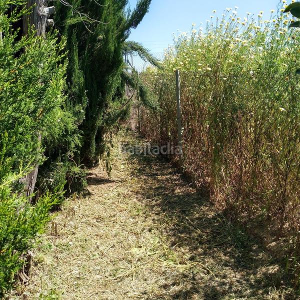 Foto 81c72de2-071e-4da6-9f1e-11df1755fd5b. Masía finca rústica en venta huelva en Moguer