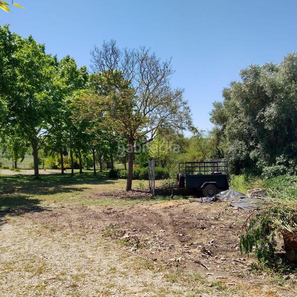 Foto 8fc8ebc1-12d2-4137-b97b-c646bd1bfa42. Masía finca rústica en venta huelva en Moguer