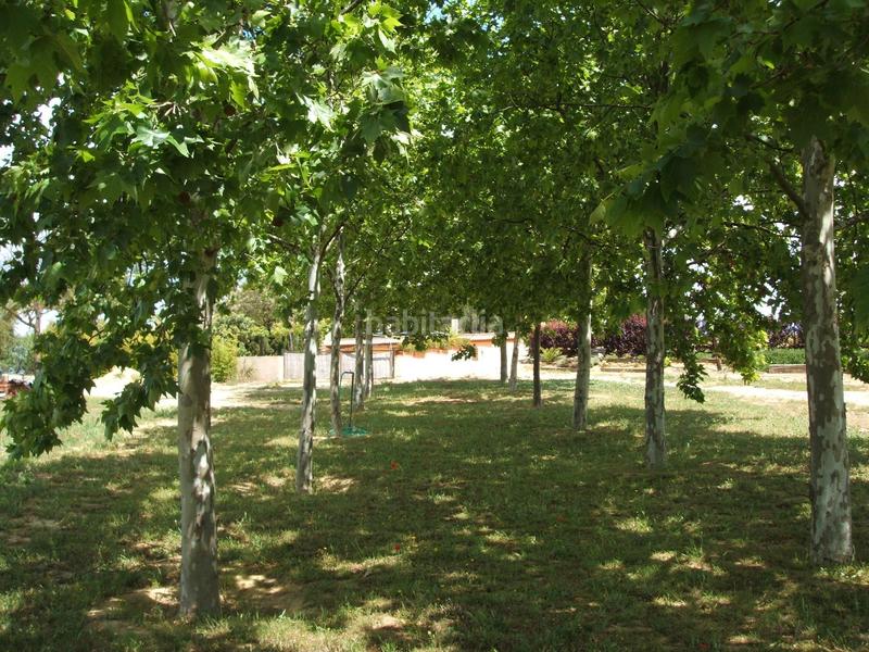 Foto 9b568047-d1c0-40ad-a550-3d777382d386. Masía finca rústica en venta huelva en Moguer