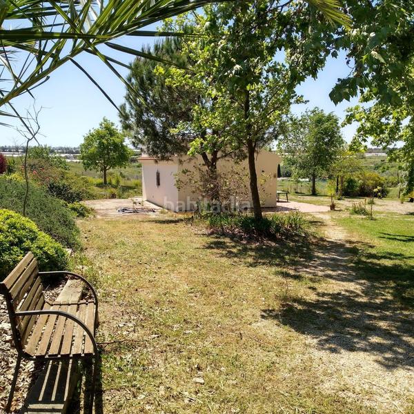 Foto a3246850-8b4b-431a-8c1b-121f6943fa25. Masía finca rústica en venta huelva en Moguer