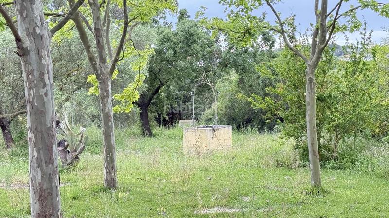 Foto a4fe6ea5-5004-44a3-94ba-98256614a424. Masía finca rústica en venta huelva en Moguer