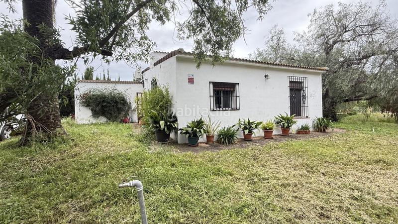 Foto a9e09d48-bf97-4f99-9518-4da4e842172f. Masía finca rústica en venta huelva en Moguer