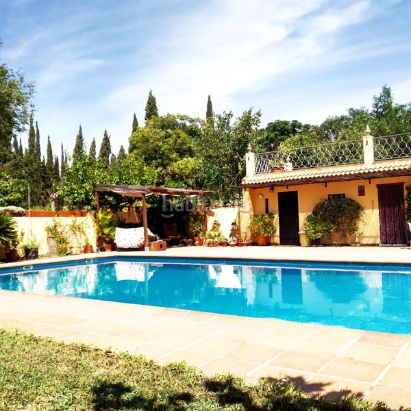 Foto ab655e2e-41bd-4ab2-9921-66d1b3b28709. Masía finca rústica en venta huelva en Moguer