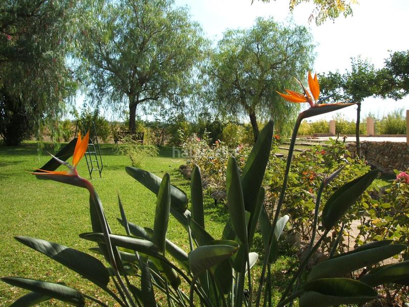 Foto b0ebdd63-44da-4572-89aa-f45e8b7d35ed. Masía finca rústica en venta huelva en Moguer