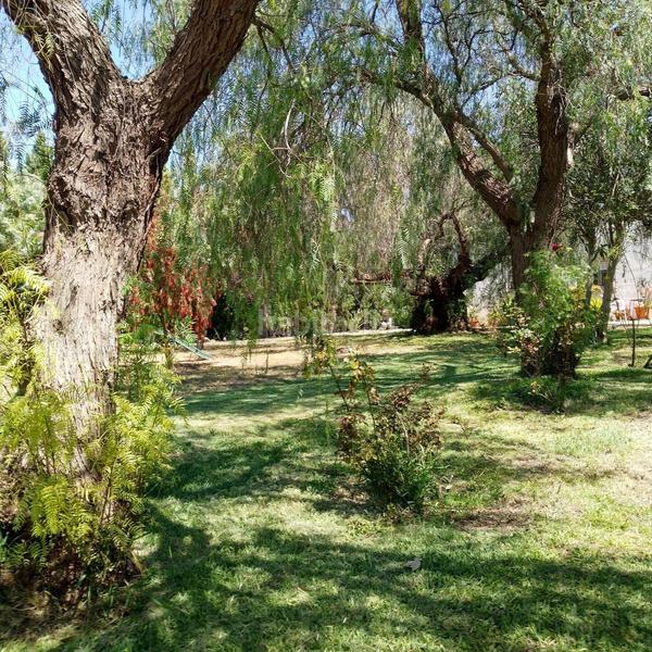 Foto b1206818-04f3-4c44-a54c-06139d35b014. Masía finca rústica en venta huelva en Moguer