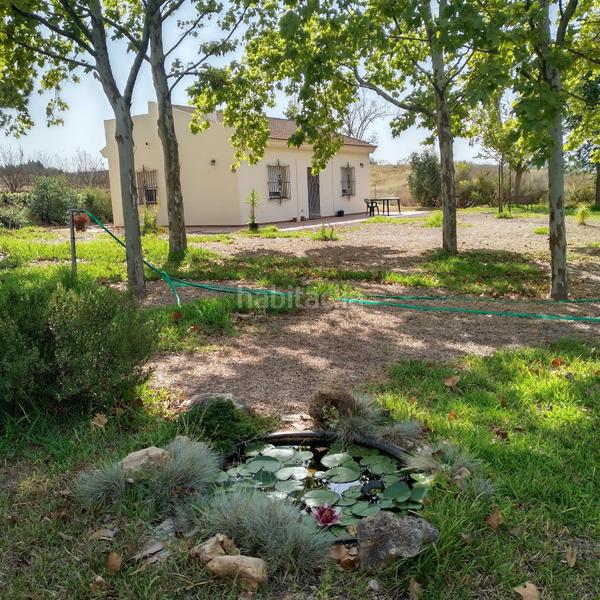 Foto b71919ba-c611-490c-a183-63602db7692c. Masía finca rústica en venta huelva en Moguer