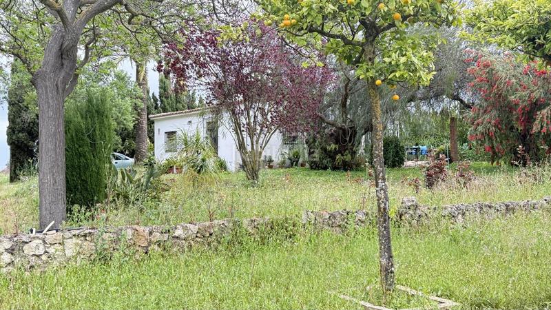 Foto f1ff1f66-b8ee-4d92-8f5f-e1a421c7697c. Masía finca rústica en venta huelva en Moguer