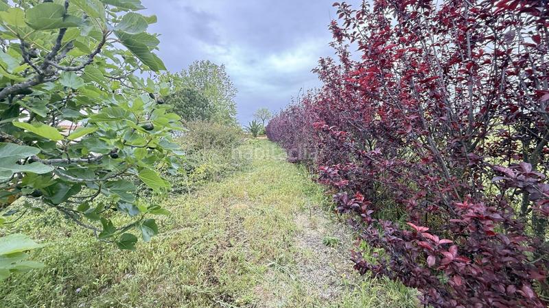 Foto f3086093-8f5d-4246-81c1-368615a4aca0. Masía finca rústica en venta huelva en Moguer
