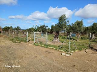 Finca rústica a Niebla. Finca rustica para animales y cultivo