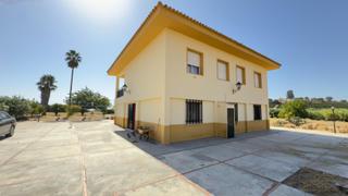 Masia a Gibraleón. Amplia casa con terreno en gibraleón  oportunidad única
