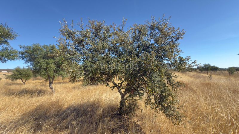 Foto 76134894-fe1f-4837-82ce-c0cf294a1e3f. Masia a Cerro de Andévalo (El)