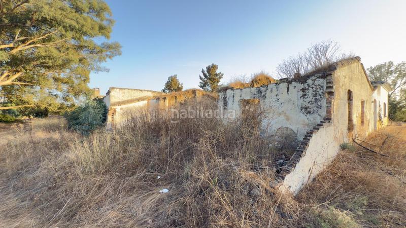 Foto 1c1f1f24-c204-40ff-af3b-8adc3ee4405c. Casale in Almonte Almonte