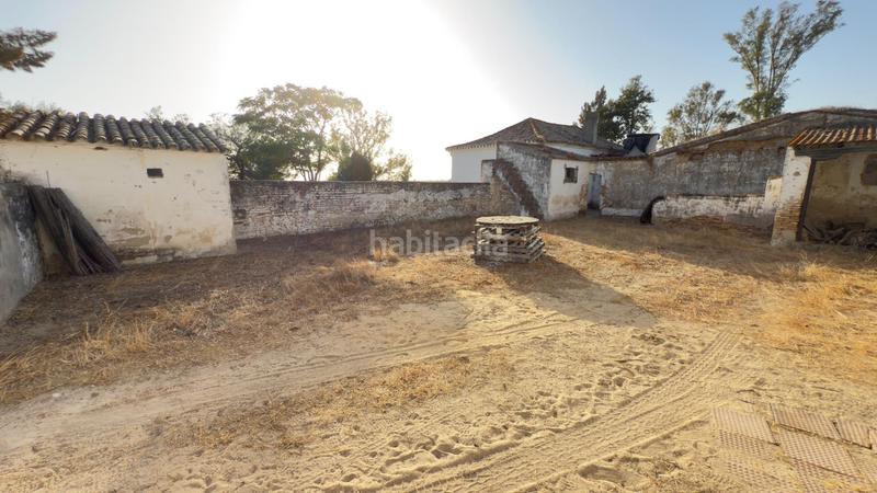 Foto 1fff45be-9f92-46e6-8a6e-b8364383aa7c. Casale in Almonte Almonte