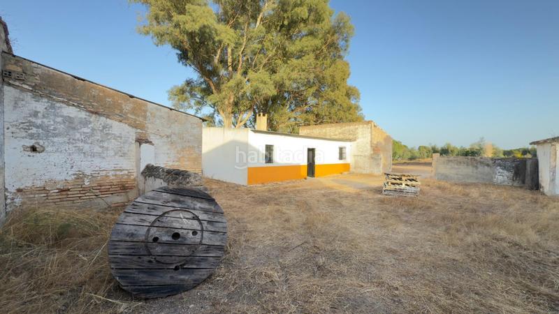 Foto 32ba8a24-3cf7-4f50-8072-713773564140. Casale in Almonte Almonte