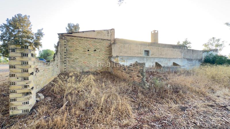 Foto 35b4eeb1-1476-4f06-a632-0f42d2c13279. Casale in Almonte Almonte