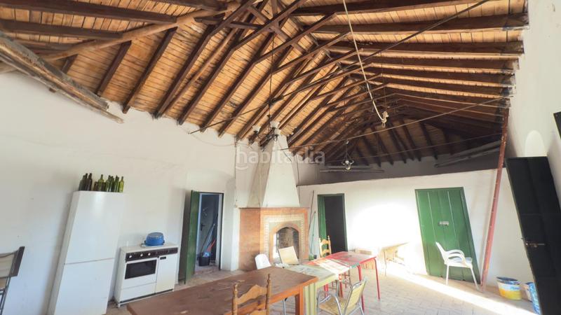 Foto 37888a85-031b-444b-92ee-9270b6e5e753. Casale in Almonte Almonte