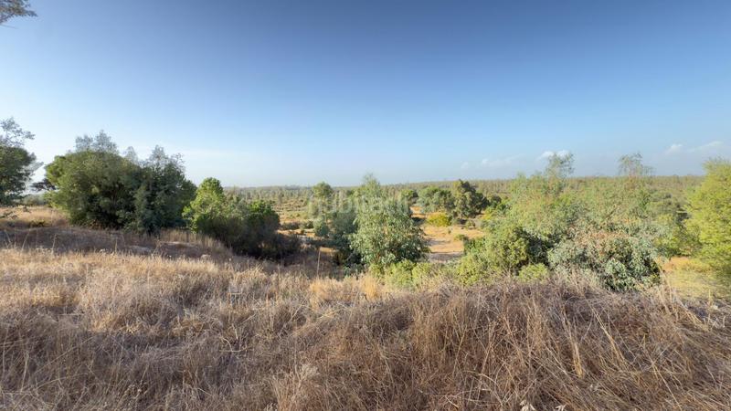 Foto 3f342988-0466-40df-9512-d0ab05c76195. Casale in Almonte Almonte