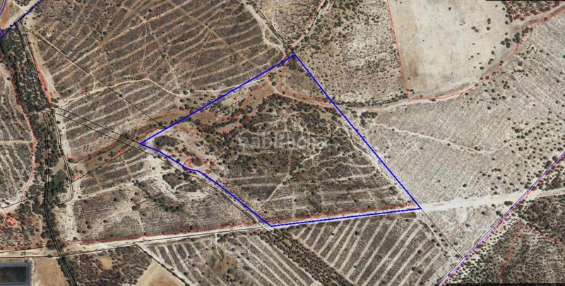 Foto 4b528321-dafd-47f2-b3ea-0b8bed3f2b76. Casale in Almonte Almonte