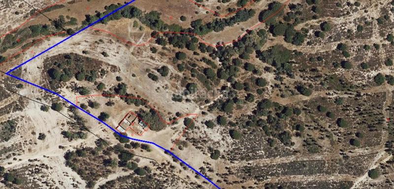 Foto 5fb601b4-3bbd-439b-8941-02820b927ef6. Casale in Almonte Almonte