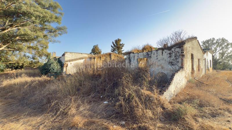 Foto 86402bf3-9195-4aa0-87e7-dd204a744405. Casale in Almonte Almonte