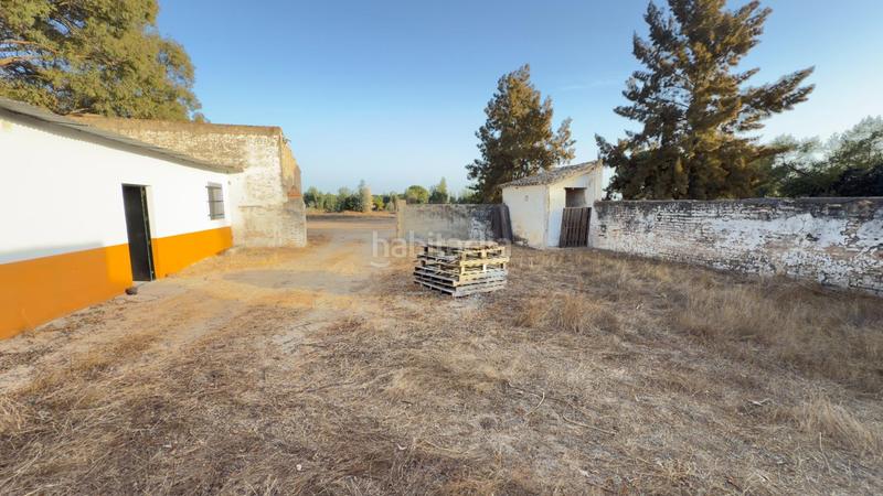 Foto 9a342886-e4bb-48bc-8532-9e2c3c084a1f. Casale in Almonte Almonte