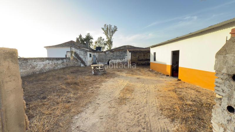 Foto a16771d3-5190-4535-bab1-23f42dd6ee84. Casale in Almonte Almonte