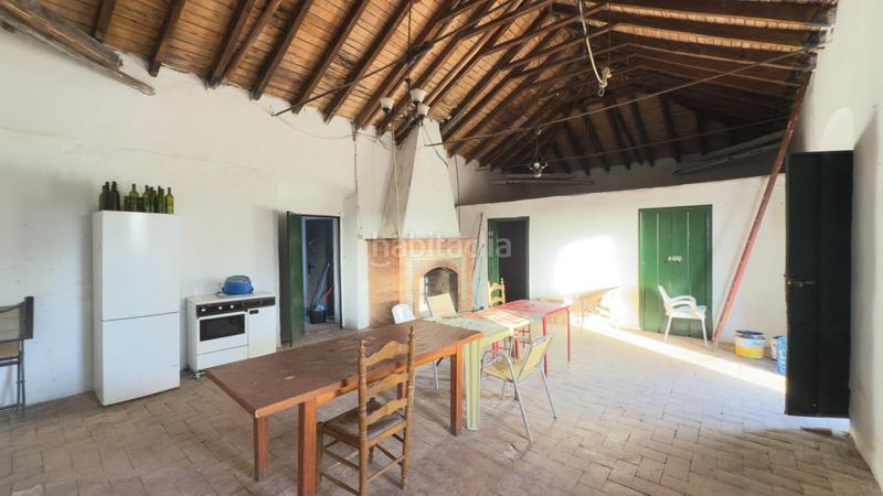 Foto c097e1aa-95e1-4851-8226-be3a988ecb4e. Casale in Almonte Almonte