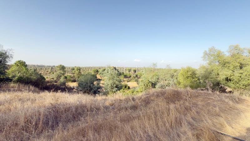 Foto cc86d561-0bdf-4cb9-9391-bd6b20bdf3b5. Casale in Almonte Almonte