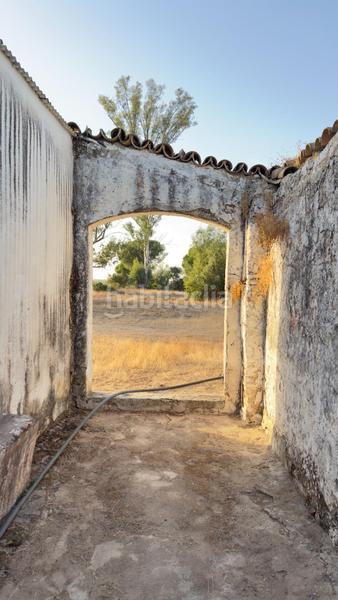 Foto f4729dae-13b0-41b9-ab6c-79bc81677262. Casale in Almonte Almonte