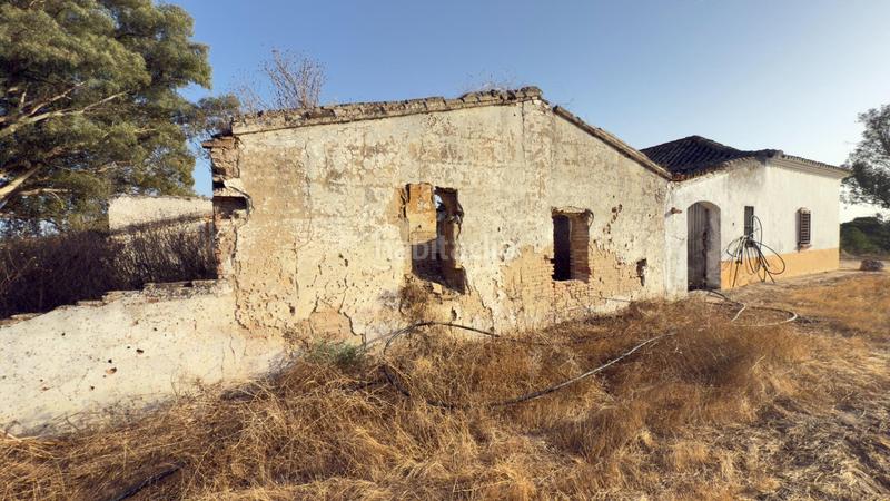 Foto fe322324-2b6a-41a4-b9ad-b889071eabe7. Casale in Almonte Almonte