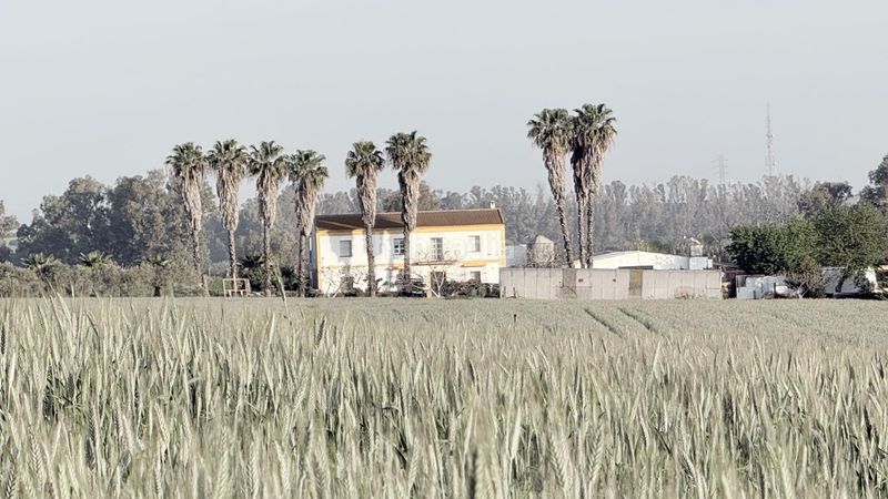 Foto 5860d9a4-8a6c-44ec-99fa-954793154fa7. Masia amb aparcament piscina a La Orden Huelva