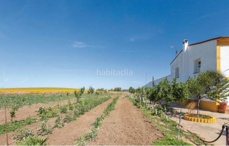 Foto c5d7ddee-c922-4394-8db1-ec6d68de4fd2. Masia amb aparcament piscina a La Orden Huelva