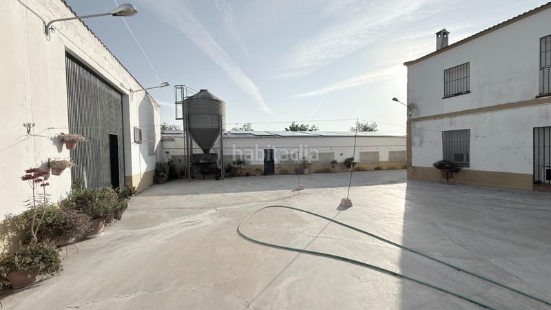 Foto ef0453a6-bcf8-425a-8df3-35d3e664a66a. Masia amb aparcament piscina a La Orden Huelva
