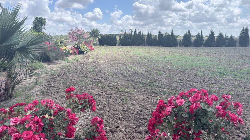 Foto 27d10e1f-f866-4cd1-85e9-406bd570e9f5. Finca rústica a San Juan del Puerto