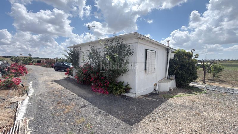 Foto 57a175bb-3069-4151-a454-3cd256490064. Finca rústica a San Juan del Puerto
