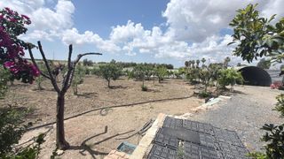 Finca rústica en San Juan del Puerto. Finca rústica con gran potencial agrícola y recreativo