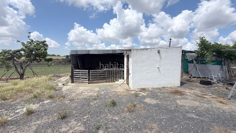 Foto 62a98f1a-d008-4641-bb8f-391e3995673e. Finca rústica a San Juan del Puerto