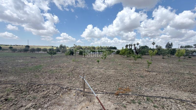 Foto 66c0e6b2-5fa2-4364-9825-71bd854b9425. Finca rústica a San Juan del Puerto
