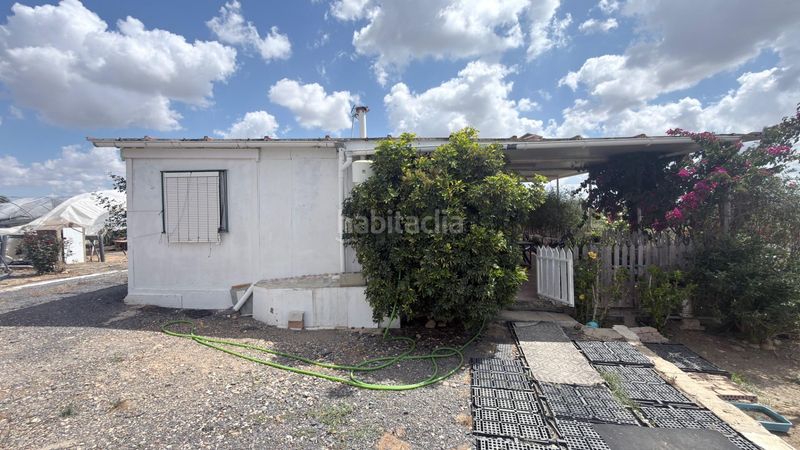 Foto a1b9ed02-0585-4b8e-ac72-768f01c1ad1b. Finca rústica a San Juan del Puerto