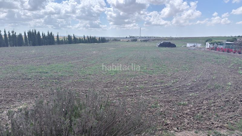 Foto b64143f6-b44f-45b0-902e-f5b2325d9f9c. Finca rústica a San Juan del Puerto