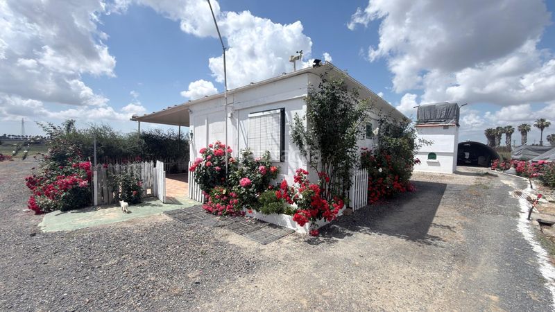 Foto d3f79b50-9308-4438-8d92-ea02661dfafb. Finca rústica a San Juan del Puerto