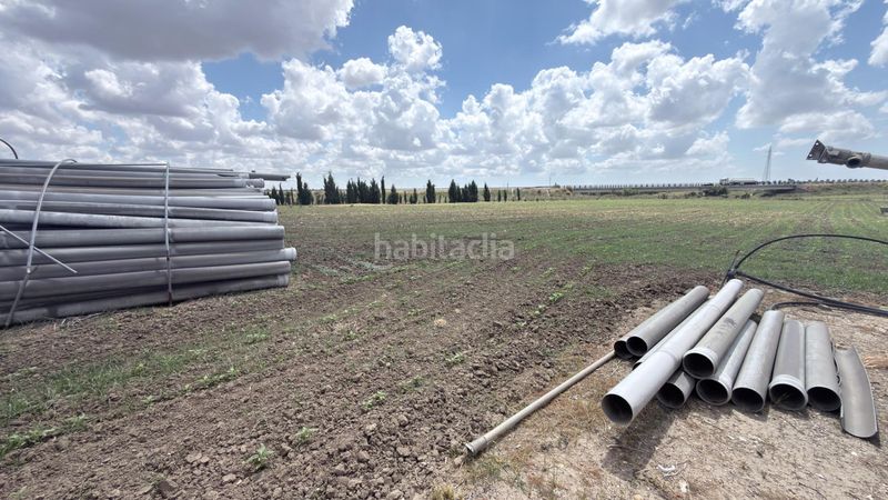 Foto e0e258f3-a158-401f-8849-a411f2cf8d81. Finca rústica a San Juan del Puerto